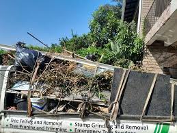 Professional Junk Removal in Amesti, CA